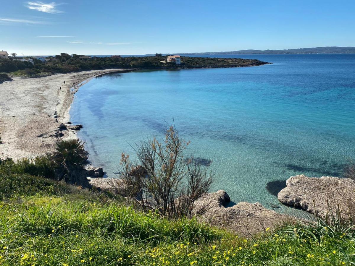 I Fenicotteri - Appartamenti Sul Mare Calasetta Bagian luar foto